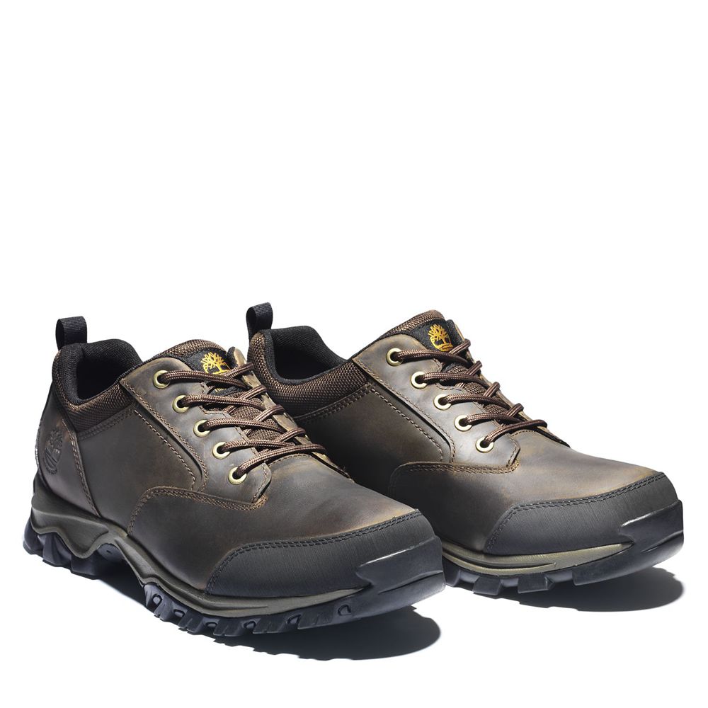 Timberland Mens Hiking Shoes Keele Ridge Waterproof - Brown - India SQ9532817